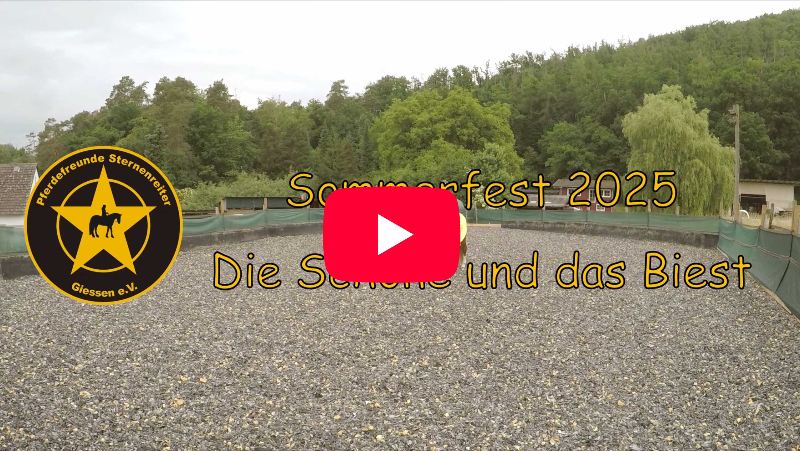 my summer video